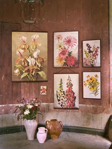 Plakat – Solsikke – 35 x 50 cm - www.frokenfraken.se