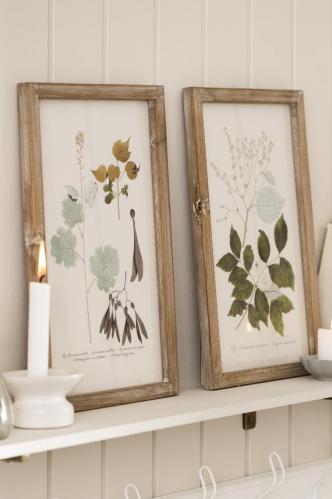 Tavler i tre rammer - Trær - 2 stk - 25 x 38 cm - www.frokenfraken.se