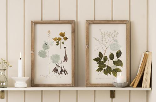 Tavler i tre rammer - Trær - 2 stk - 25 x 38 cm - www.frokenfraken.se