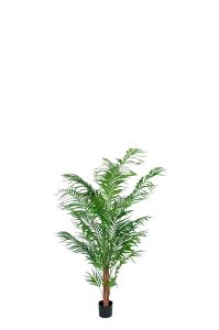 Areca Palm - Grønn - 120 cm - www.frokenfraken.se