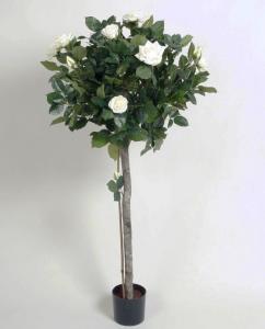 Rosenträd - Vit - 110 cm - www.frokenfraken.se