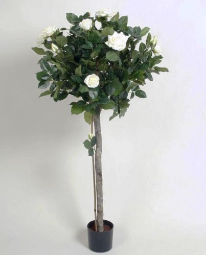 Rosenträd - Vit - 110 cm - www.frokenfraken.se