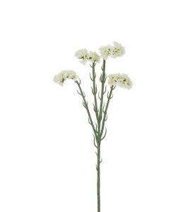 Statice - Vit - 60 cm - www.frokenfraken.se