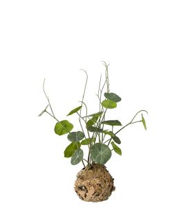 Stephania - Grønn - 45 cm - www.frokenfraken.se