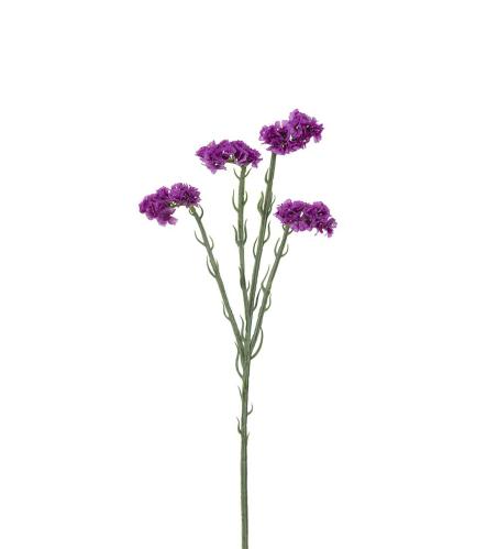 Statice - Lilla - 60 cm - www.frokenfraken.se