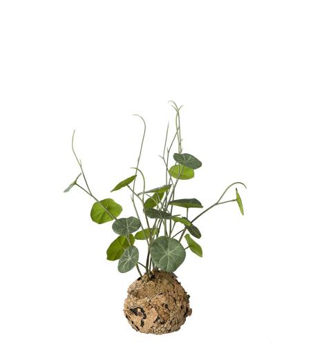 Stephania - Grønn - 45 cm - www.frokenfraken.se