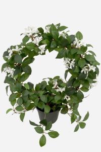 Jasmin - Hvit - 45 cm - www.frokenfraken.se