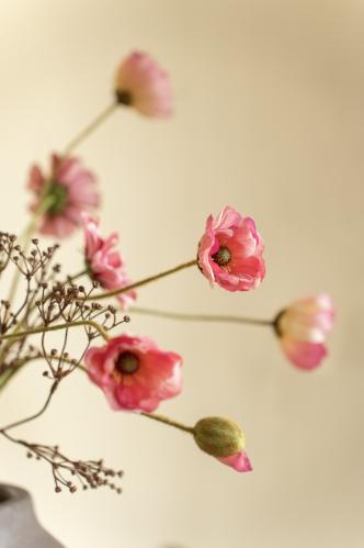 Bukett - Vallmo/Zinnia/Talinum - www.frokenfraken.se