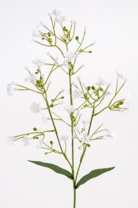 Slør - Hvit - 55 cm - www.frokenfraken.se