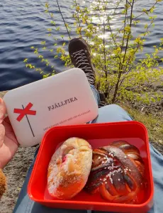 Matboks - Fjellfika - Rød/Hvit - 18 x 12 cm x 6.5 cm - www.frokenfraken.se