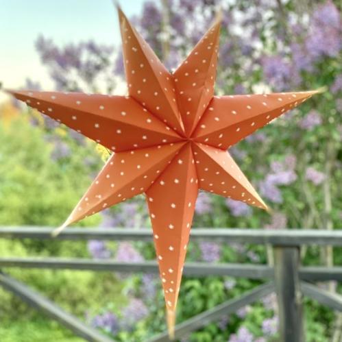 Adventsstjerne - Klassisk Gammeldags Oransje - 60 cm - www.frokenfraken.se