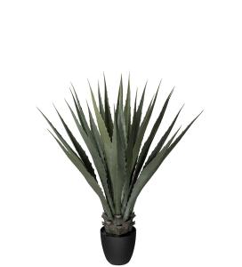 Agave - Grønn - 100 cm - www.frokenfraken.se