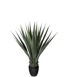 Agave - Grønn - 100 cm - www.frokenfraken.se