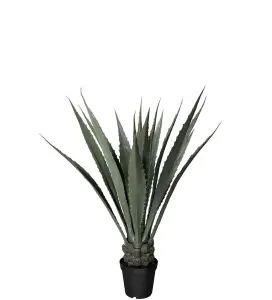 Agave - Grønn - 120 cm - www.frokenfraken.se