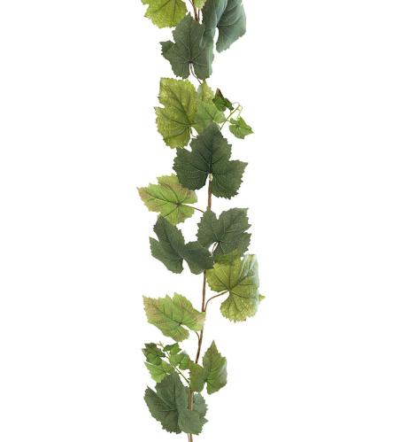 Vinranke - Grønn - 190 cm - www.frokenfraken.se