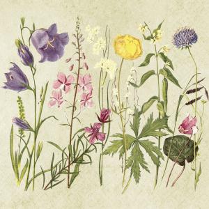 Serviett - Sommerblomster - 33 x 33 cm - www.frokenfraken.se