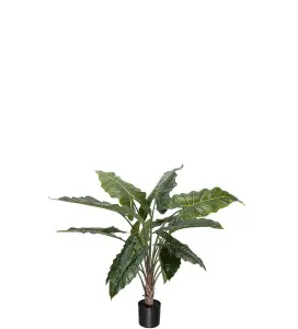 Alocasia - Grønn - 90 cm - www.frokenfraken.se