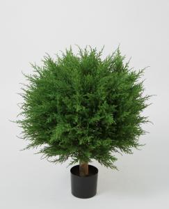 Cypress - Grønn - 70 cm - www.frokenfraken.se