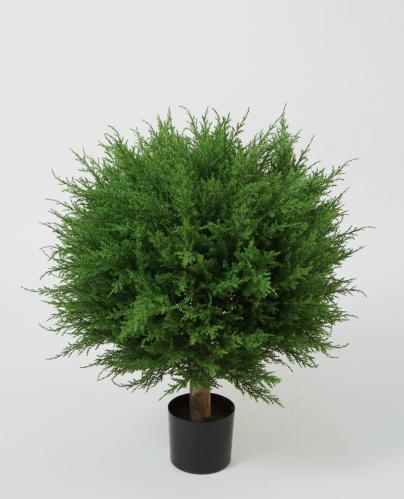 Cypress - Grønn - 70 cm - www.frokenfraken.se