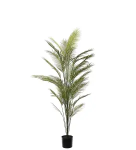 Fjellpalme - Grønn - 210 cm - www.frokenfraken.se