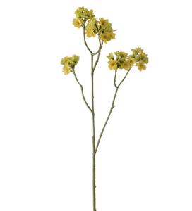 Blomkvist - Gul - 80 cm - www.frokenfraken.se