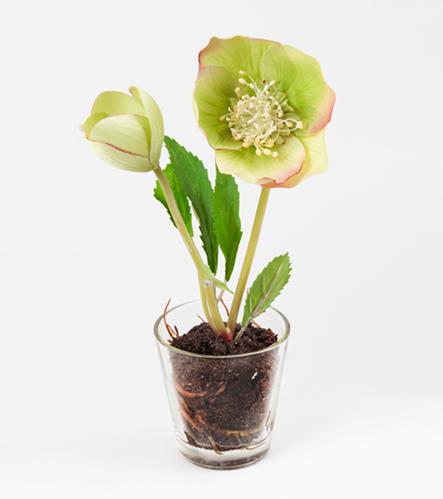 Julerose - www.frokenfraken.se
