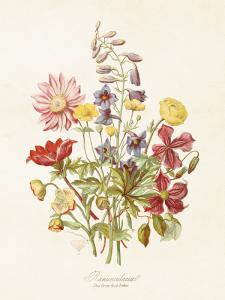 Plakat - Blomstereng - 18 x 24 cm - www.frokenfraken.se