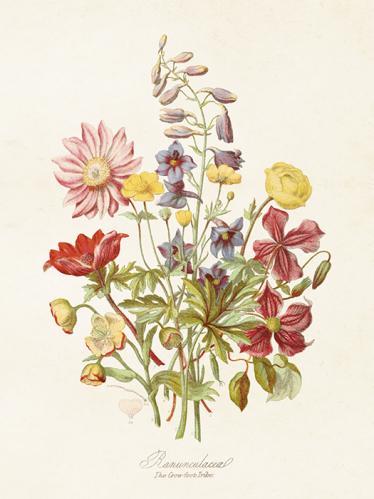 Plakat - Blomstereng - 18 x 24 cm - www.frokenfraken.se