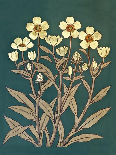 Plakat - Vintage - Smørblomster - 18 x 24 cm - www.frokenfraken.se