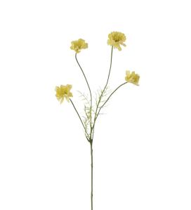 Cosmos - Gul - 55 cm - www.frokenfraken.se