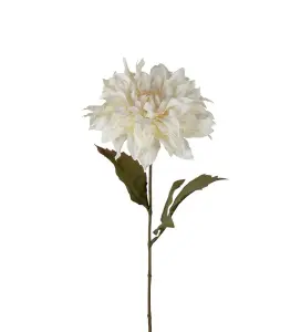 Dahlia - Krem - 60 cm - www.frokenfraken.se