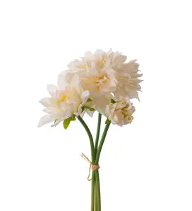 Dahliabunt - Vit - 28 cm - www.frokenfraken.se