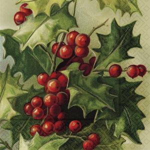 Serviett - Järnek - 33 x 33 cm - www.frokenfraken.se