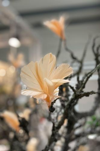 Fjær - Fjærblomster på tråd - Lys aprikos - 12-pakning - www.frokenfraken.se