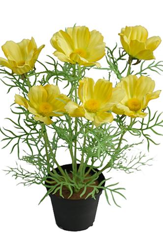 Rosenskjære - Gul - 40 cm - www.frokenfraken.se