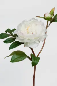 Pion - Vit - 50 cm - www.frokenfraken.se