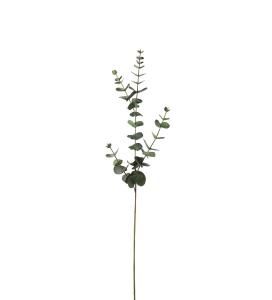 Eukalyptus - Grå - 80 cm - www.frokenfraken.se