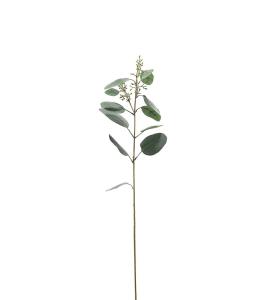 Eukalyptus - Grå - 87 cm - www.frokenfraken.se