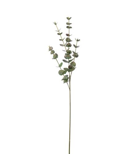 Eukalyptus - Grå - 60 cm - www.frokenfraken.se
