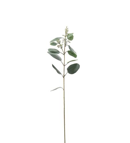 Eukalyptus - Grå - 87 cm - www.frokenfraken.se