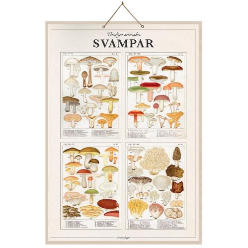 Skoleplansje Sopp - Hvit - B46 x H66 cm - www.frokenfraken.se