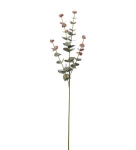 Eukalyptus - Grønn - 60 cm - www.frokenfraken.se