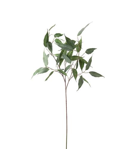 Eukalyptus - Grønn - 110 cm - www.frokenfraken.se