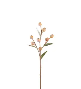 Eucalyptuskvist med bær - Beige - 65 cm - www.frokenfraken.se