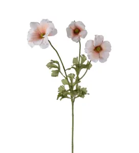 Fjärilsranuncel - Aprikos - 54 cm - www.frokenfraken.se