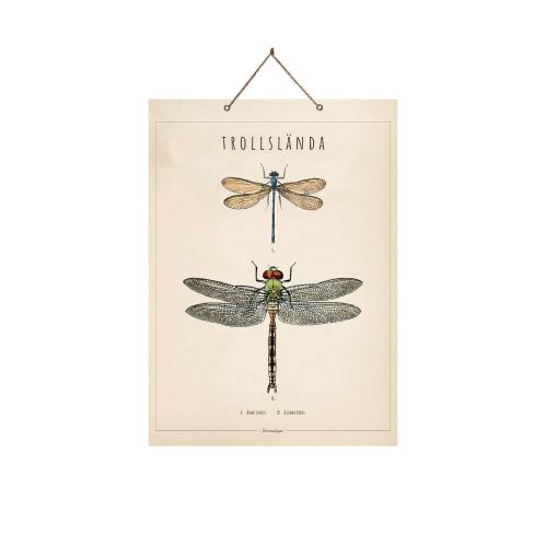 Skolplansj Libelle - Beige - B33 x H46 cm - www.frokenfraken.se