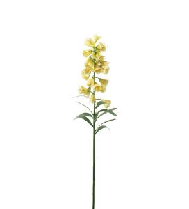 Fritillaria - Gul - 88 cm - www.frokenfraken.se