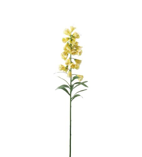 Fritillaria - Gul - 88 cm - www.frokenfraken.se