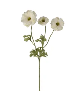 Fjärilsranuncel - Grønn - 54 cm - www.frokenfraken.se