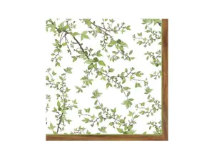 Serviett - Grønnsak - 33 x 33 cm - www.frokenfraken.se